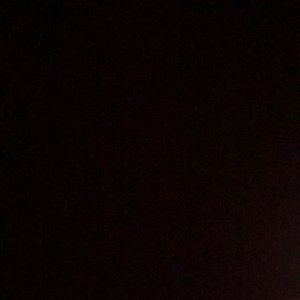 Meet your Posher, Monique